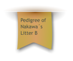 Pedigree of Nakawa�s Litter B