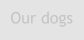 Our dogs