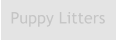 Puppy Litters