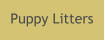 Puppy Litters